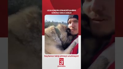 Uzun süredir görmediği sahibini görünce sıkıca sarıldı… 📶https://kanal3.com.tr/ Sosyal Medya