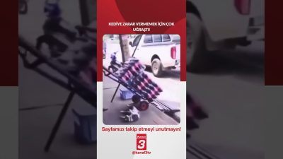 Kediye zarar vermemek için çok uğraştı! 📶https://kanal3.com.tr/ Sosyal Medya Hesaplarımızı