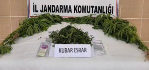Konya'da jandarma ekipleri tarafından temmuz ayında yapılan operasyonlarda çok sayıda