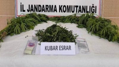 Konya'da jandarma ekipleri tarafından temmuz ayında yapılan operasyonlarda çok sayıda