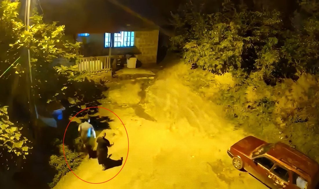 Artvin’in Hopa ilçesine bağlı Koyuncular köyünde gece karanlığında duydukları sesten