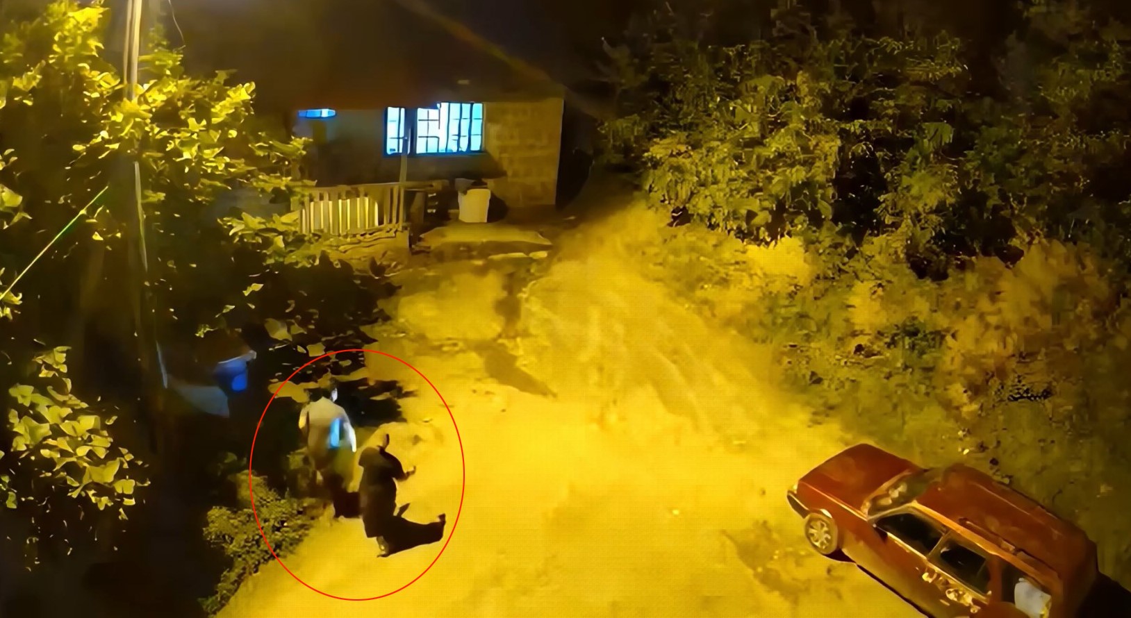 Artvin’in Hopa ilçesine bağlı Koyuncular köyünde gece karanlığında duydukları sesten