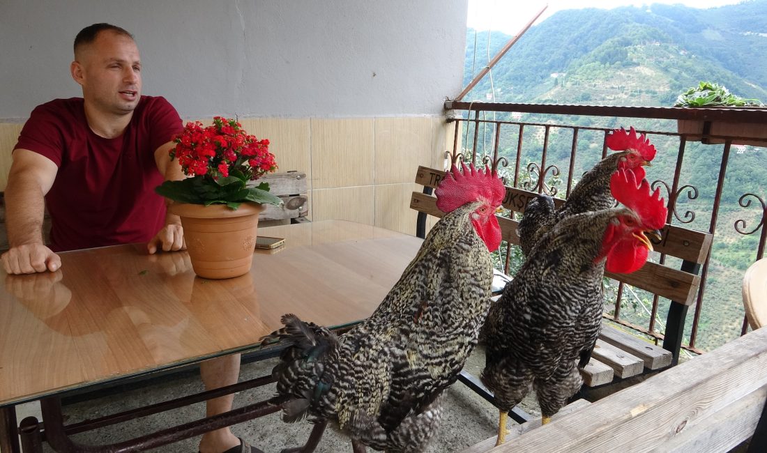 Trabzon'un Çarşıbaşı ilçesine bağlı Kovanlı Mahallesi'nde ikamet eden Gökhan Kum,