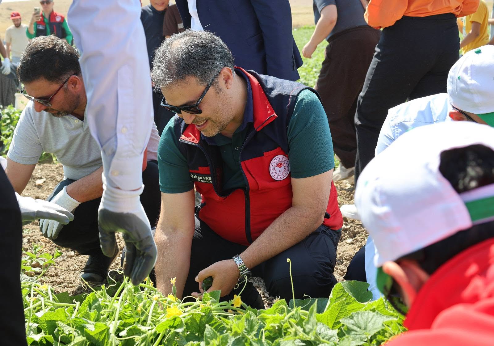 Afyon'da gençler tarlaya indi 1 Afyon'da gençler tarlaya indi