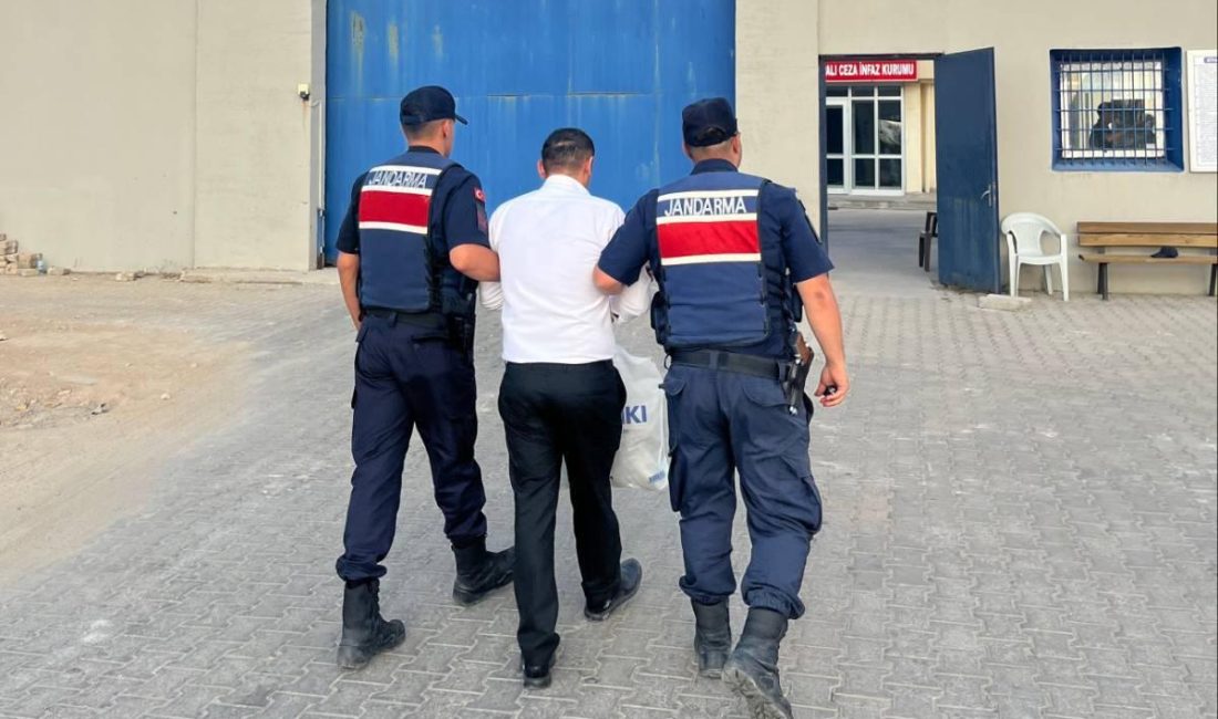 Afyonkarahisar İl Jandarma Komutanlığı ekiplerince son bir hafta içerisinde gerçekleştirilen