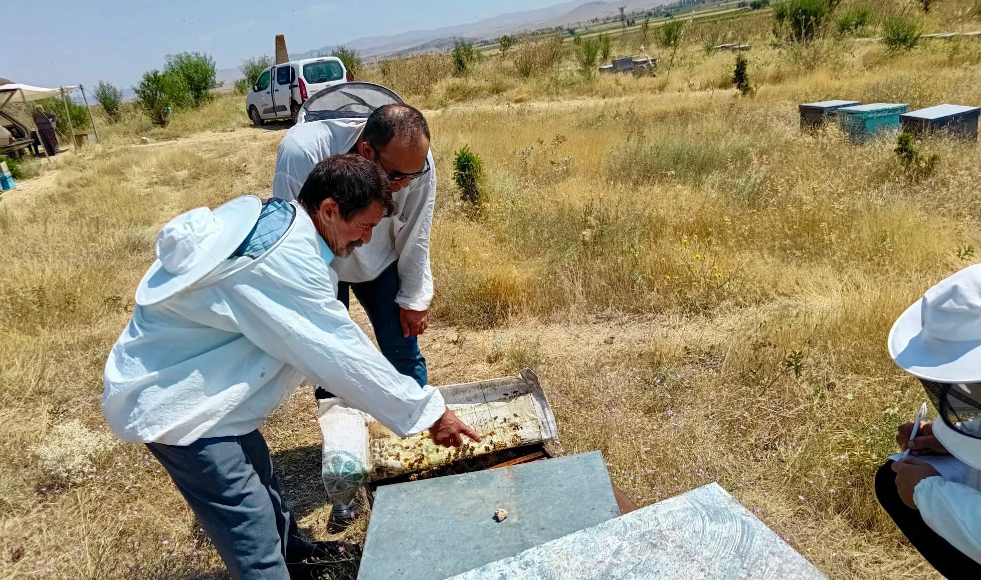 Arıcıların kovanları mercek altında 6 Arıcıların kovanları mercek altında