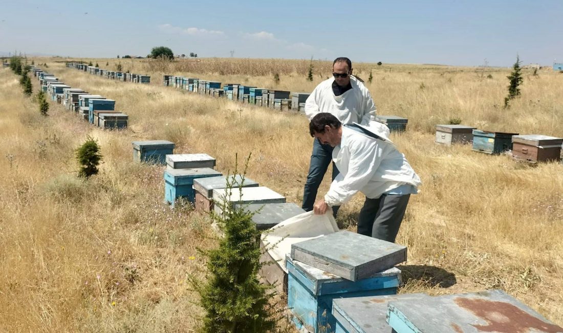 Afyonkarahisar’da arıcılık faaliyetlerinin düzenli yürütülmesi ve kovan varlığının güncel olarak