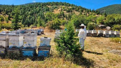 Afyonkarahisar İl Tarım ve Orman Müdürlüğü tarafından, arılı kovan desteği
