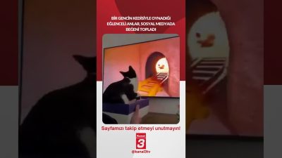 Bir gencin kedisiyle oynadığı eğlenceli anlar, sosyal medyada beğeni topladı…