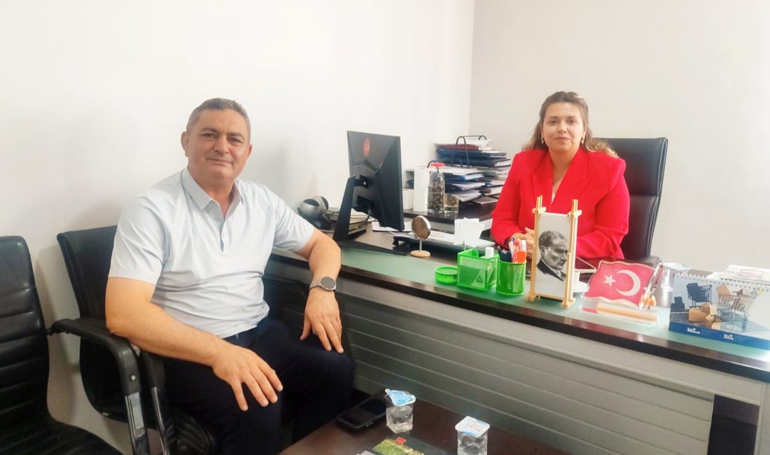 Çobanlar Belediye Başkanı Ali Altıntaş, Kanal 3 ve Gazete 3