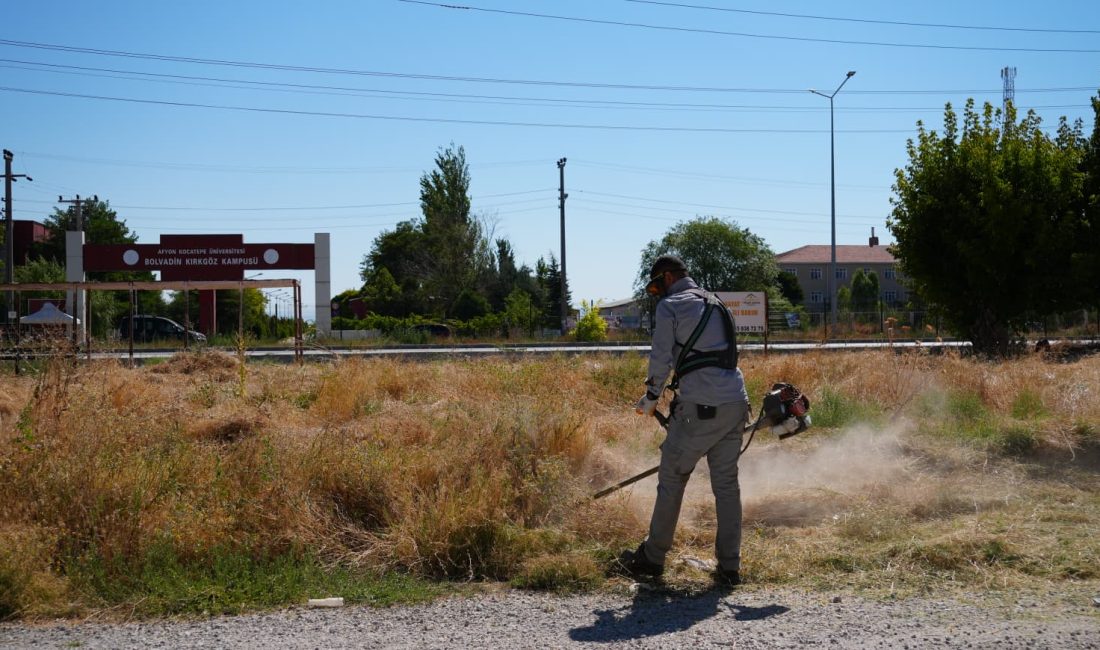 Bolvadin Belediyesi ekipleri, Bolvadin Meslek Yüksekokulu Kırkgöz Kampüsü çevresinde yabani