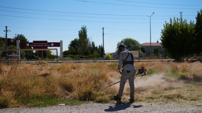 Bolvadin Belediyesi ekipleri, Bolvadin Meslek Yüksekokulu Kırkgöz Kampüsü çevresinde yabani