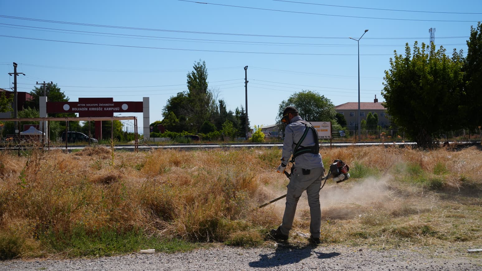 Bolvadin Belediyesi ekipleri, Bolvadin Meslek Yüksekokulu Kırkgöz Kampüsü çevresinde yabani