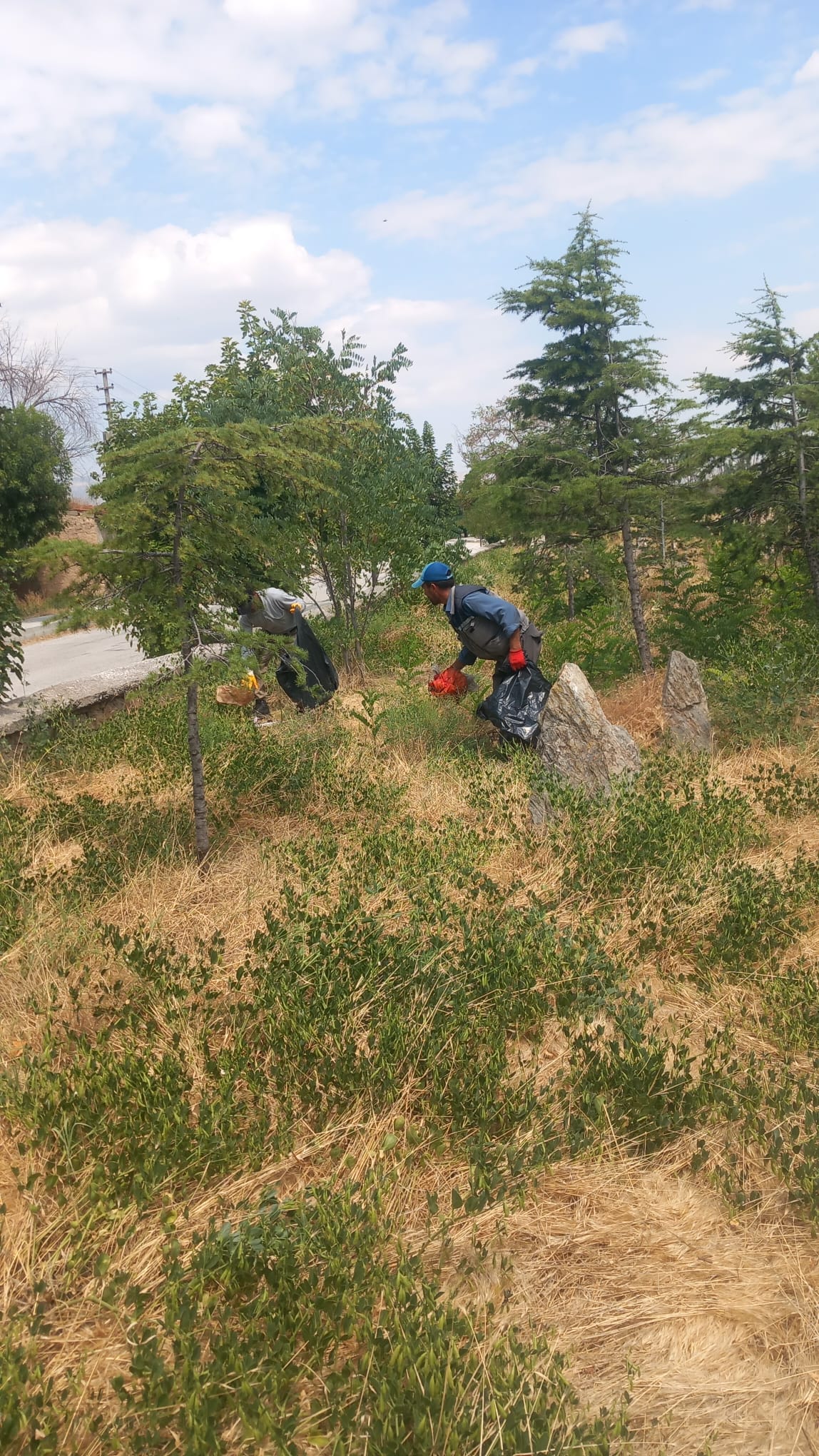 Bolvadin’de Asri Mezarlık ve çevresinde kapsamlı temizlik