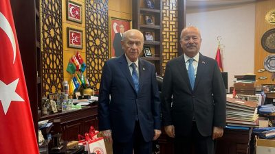 Milliyetçi Hareket Partisi Afyonkarahisar Milletvekili Mehmet Taytak, TBMM Genel Kurulu’nda