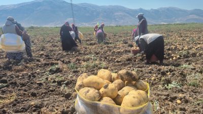 Afyonkarahisar’ın Dinar ilçesinde, 2 kasaba ve 14 köy olmak üzere