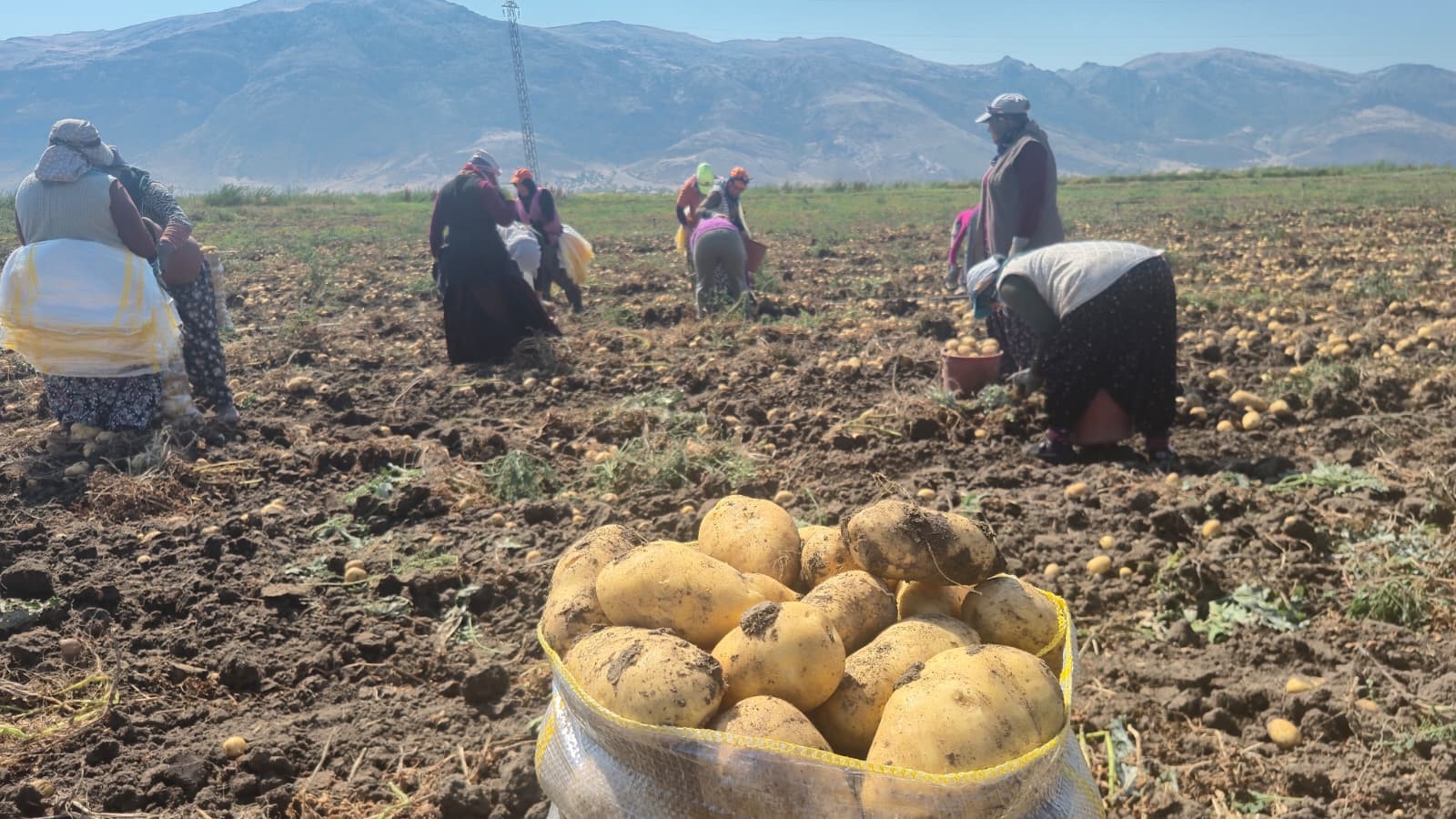 Afyonkarahisar’ın Dinar ilçesinde, 2 kasaba ve 14 köy olmak üzere