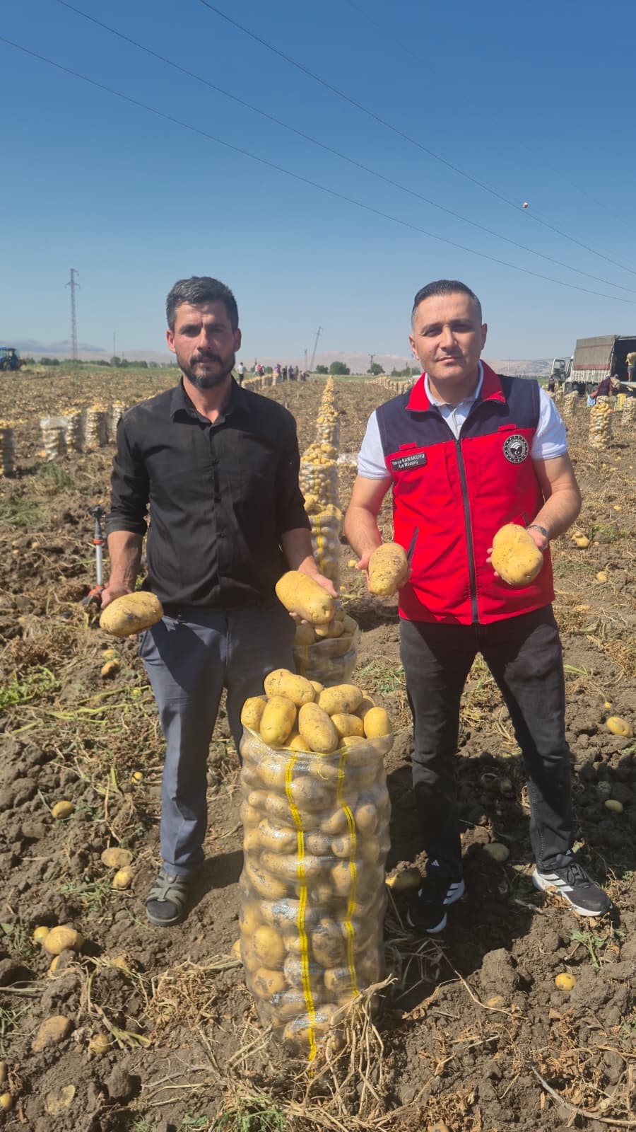 Çölovası'nda patates hasadı sürüyor 2 Çölovası'nda patates hasadı sürüyor