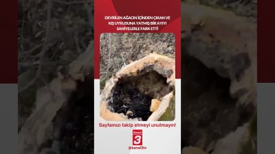📶https://kanal3.com.tr/ Sosyal Medya Hesaplarımızı Takip Ederek Son Dakika Haberleri Alabilirsiniz;