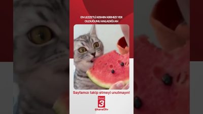 En lezzetli kısmın kırmızı yer olduğunu anladığı an… 📶https://kanal3.com.tr/ Sosyal
