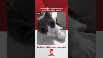 Kanal 3Paz, Ağustos 30, 2026 12:00pmURL:Embed:Mama makinesi zamanında mama vermeyince
