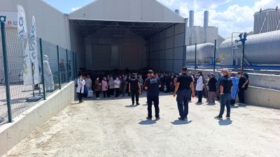 Afyonkarahisar'da ilaçlama yapılan domates serasında zehirlenerek hastaneye kaldırılanların sayısı 33'e