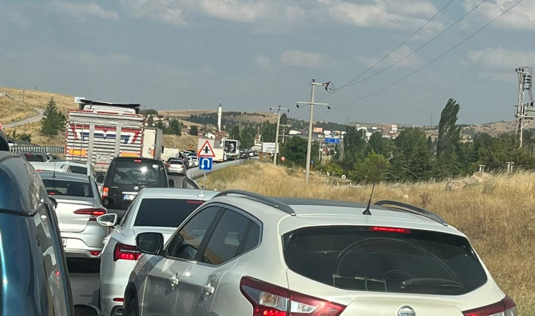 Düzağaç-Afyonkarahisar karayolunda gün içerisinde trafik yoğunluğu yaşanıyor. Güzergâhta araç sayısının