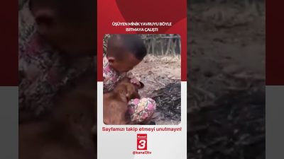Üşüyen minik yavruyu böyle ısıtmaya çalıştı… 📶https://kanal3.com.tr/ Sosyal Medya Hesaplarımızı