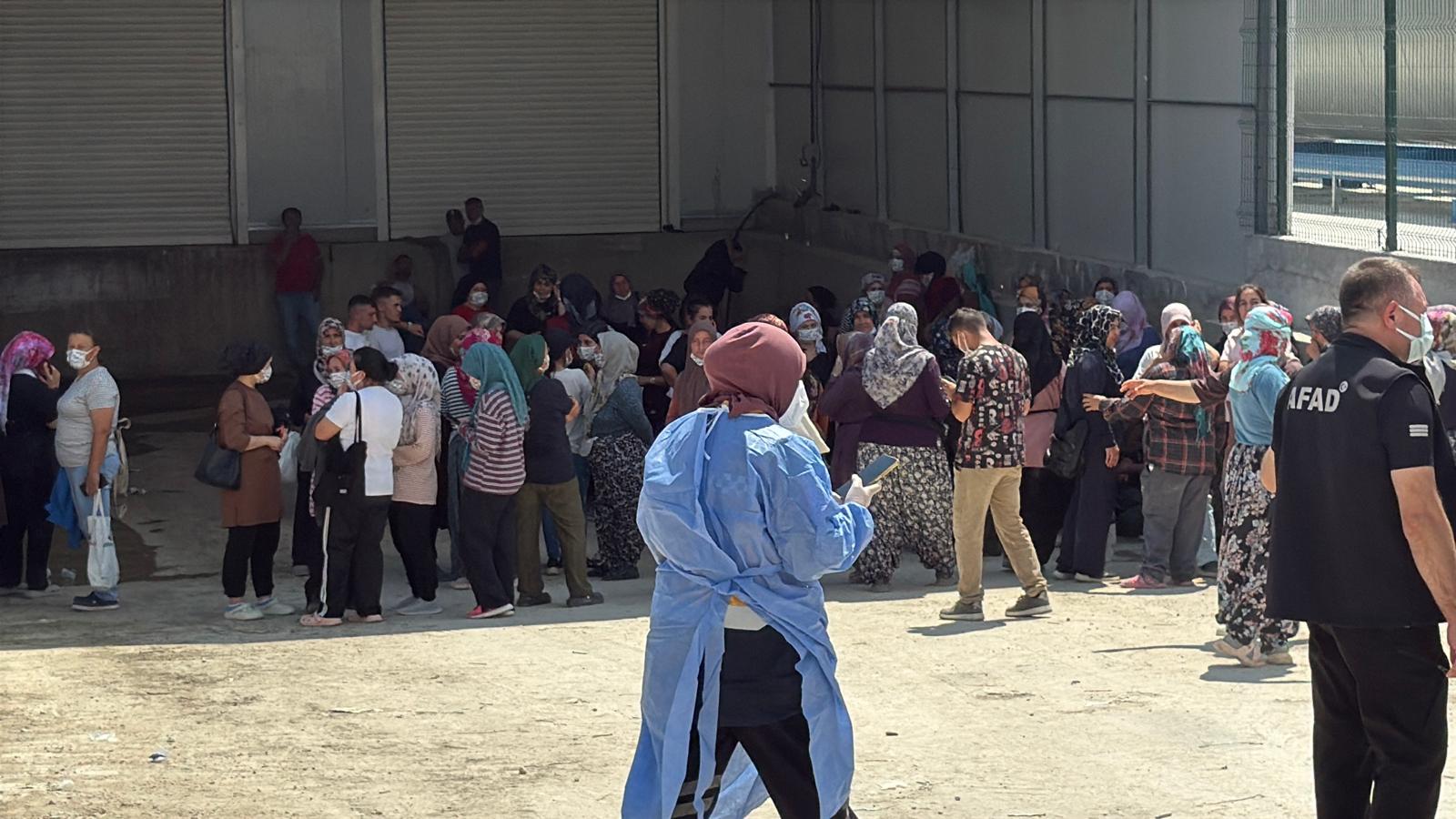 Erkmen’de serada zehirlenme paniği: Yaklaşık 40 kişi etkilendi 5 Erkmen’de serada zehirlenme paniği: Yaklaşık 40 kişi etkilendi