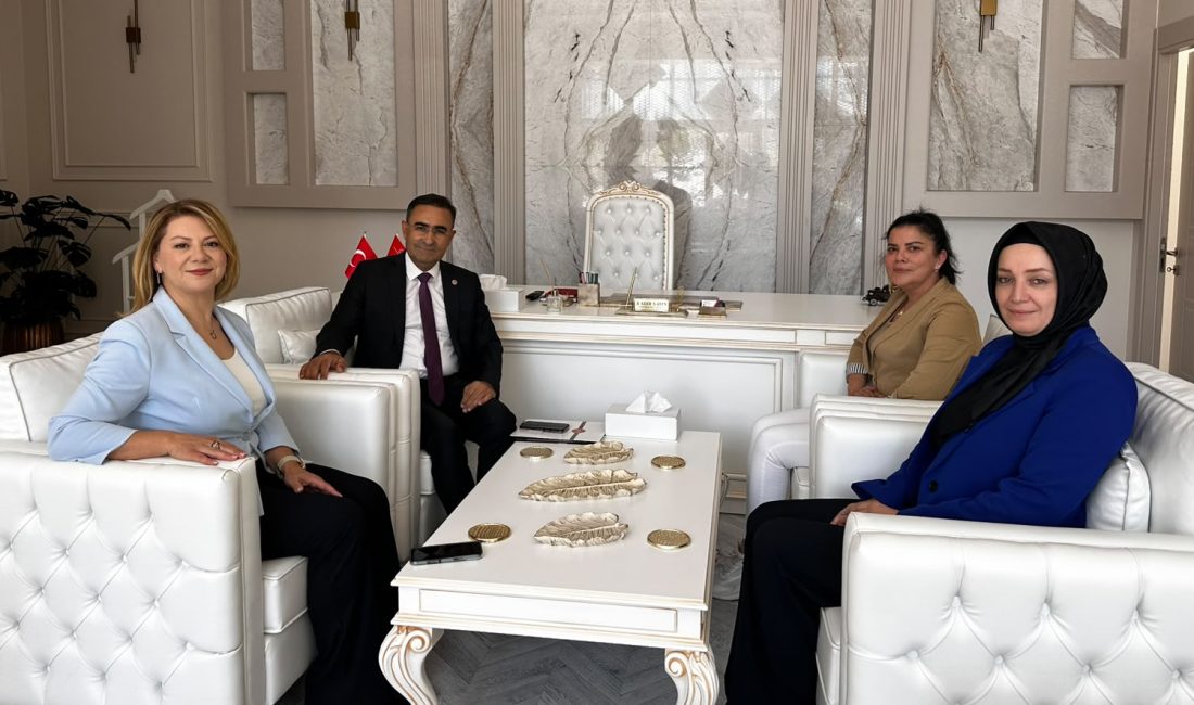 AK Parti Afyonkarahisar Milletvekili Dr. Hasan Arslan, Kanal 3 Televizyonu'nda