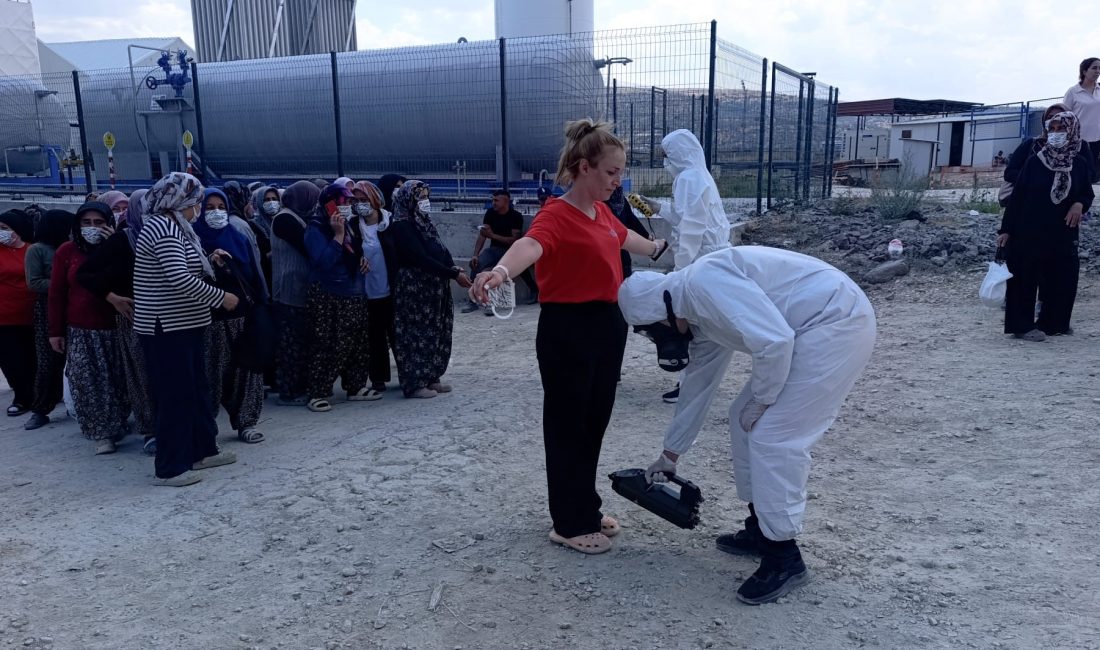Afyonkarahisar’da ilaçlama yapılan domates serasında zehirlenerek hastaneye kaldırılanların sayısı 24’e