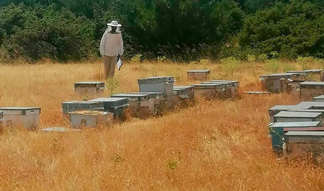 Afyonkarahisar’da arıcılık faaliyetlerinin kayıt altına alınması, üretim verilerinin güncellenmesi ve