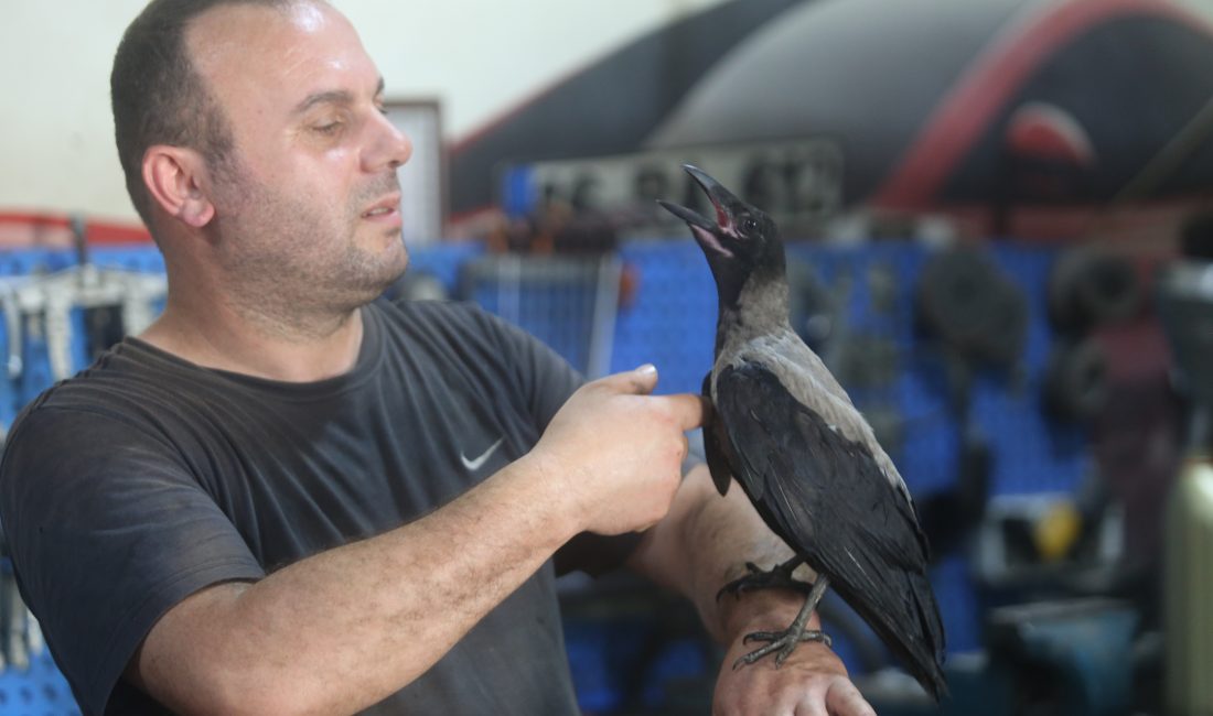 Bursa'da otomobil tamircisi Murat Güney'in 3 ay önce yaralı halde