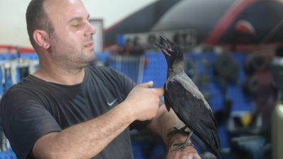 Bursa'da otomobil tamircisi Murat Güney'in 3 ay önce yaralı halde
