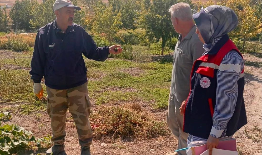 Afyonkarahisar’da bitkisel üretimde gıda güvenilirliğinin sağlanması ve tüketici sağlığının korunması