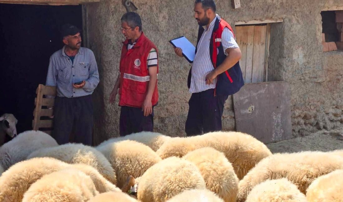 Afyonkarahisar Tarım ve Orman İl Müdürlüğü tarafından, hayvancılıkta verimliliğin ve