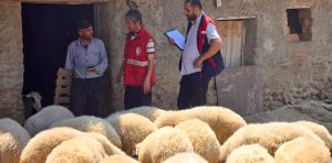 Afyonkarahisar Tarım ve Orman İl Müdürlüğü tarafından, hayvancılıkta verimliliğin ve