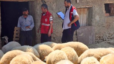 Afyonkarahisar Tarım ve Orman İl Müdürlüğü tarafından, hayvancılıkta verimliliğin ve