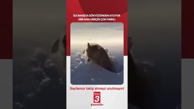 İlk bakışta gökyüzünden atlıyor gibi ama gerçek çok farklı… 📶https://kanal3.com.tr/