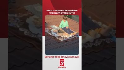 Kanal 3Paz, Ağustos 16, 2026 2:00pmURL:Embed:Sürekli evden çıkıp giden kedisinin
