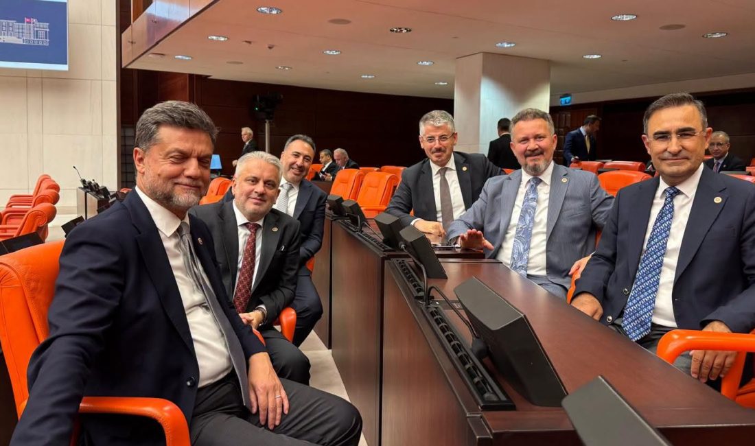 AK Parti Afyonkarahisar Milletvekili Hasan Arslan, Türkiye Büyük Millet Meclisi