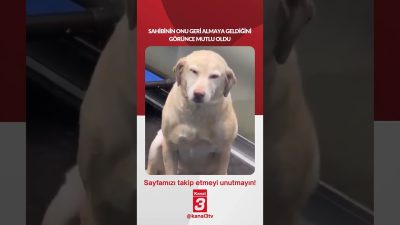 Sahibinin onu geri almaya geldiğini görünce mutlu oldu… 📶https://kanal3.com.tr/ Sosyal
