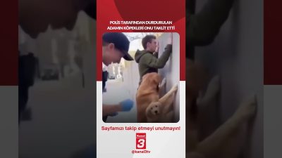 Kanal 3Per, Ağustos 20, 2026 2:00pmURL:Embed:Polis tarafından durdurulan adamın köpekleri