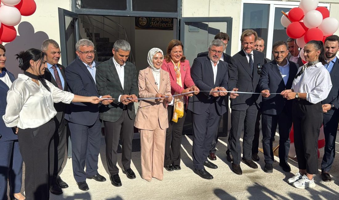 Aile ve Sosyal Hizmetler Bakanı Mahinur Özdemir Göktaş, bir dizi