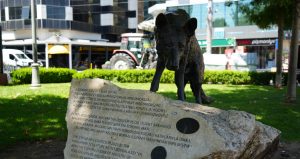 Kocaeli'de, 17 Ağustos 1999 depreminde enkaz altında kalan 3 yaşındaki