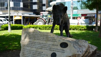 Kocaeli'de, 17 Ağustos 1999 depreminde enkaz altında kalan 3 yaşındaki