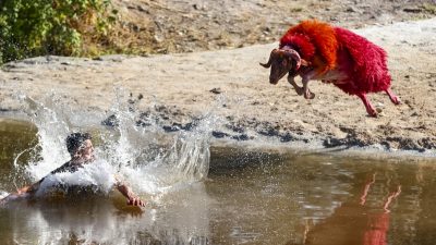 Denizli'nin Çal ilçesinde, 853 yıllık geçmişi bulunan Sudan Koyun Geçirme
