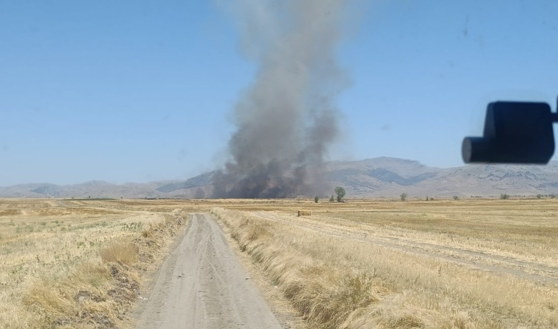 Afyonkarahisar’ın Sandıklı ilçesine bağlı Gökçealan köyü yakınlarında çıkan anız yangınında