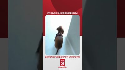 Eve gelince en sevdiği yere koştu! 📶https://kanal3.com.tr/ Sosyal Medya Hesaplarımızı