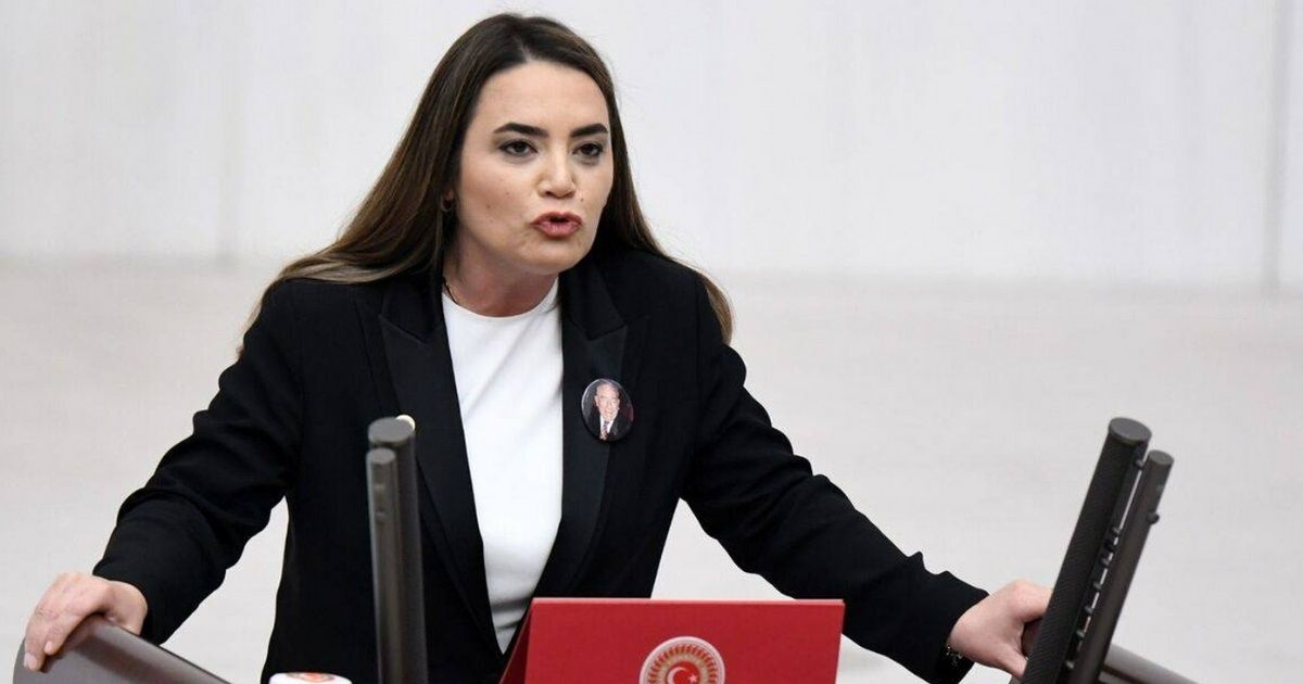 Ayyüce Türkeş Taş’ın çıkışı Adalet Komisyonu'nu bir birine kattı: Yumruklar havada uçuştu! 2 Ayyüce Türkeş Taş’ın çıkışı Adalet Komisyonu'nu bir birine kattı: Yumruklar havada uçuştu!